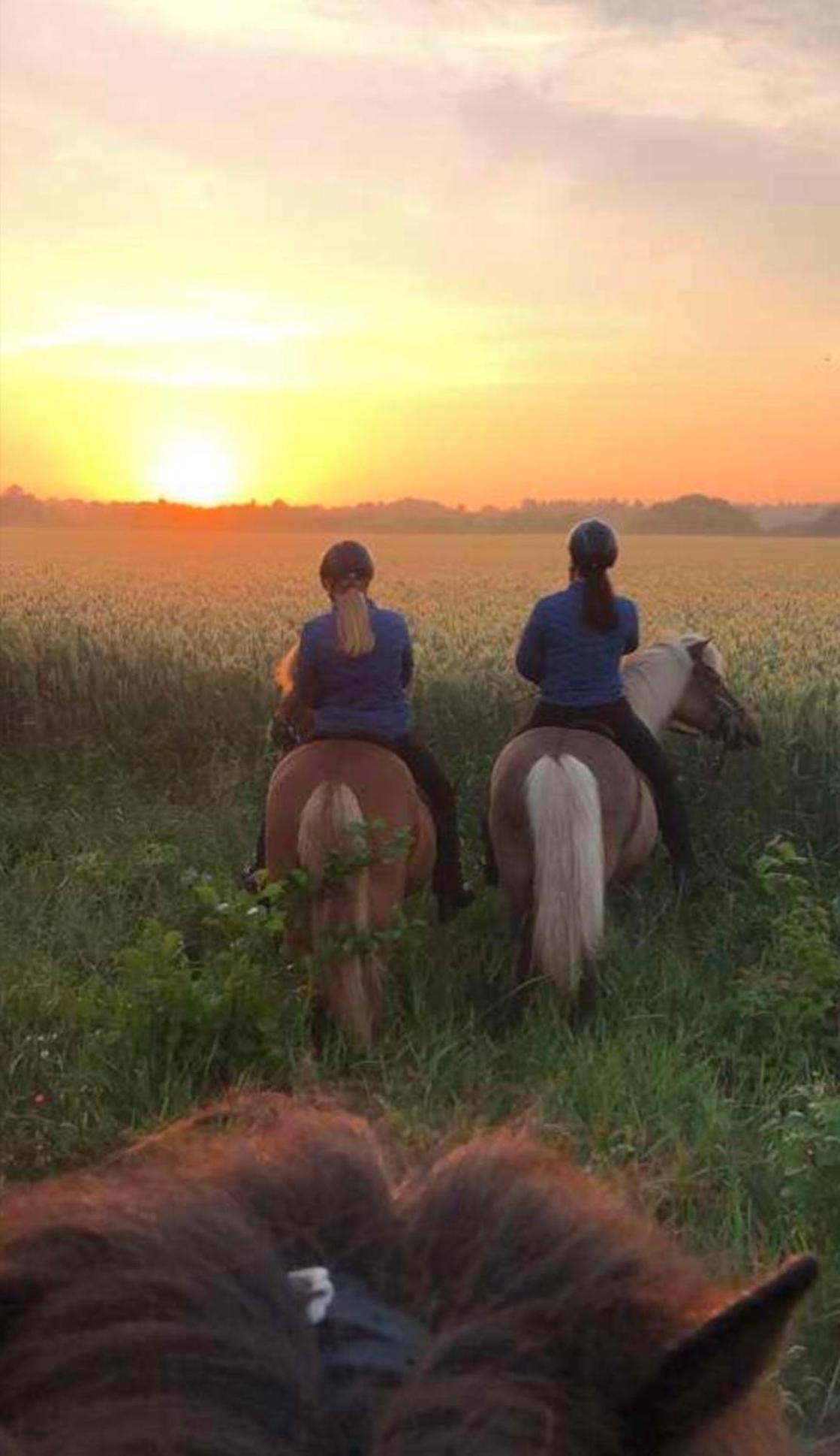 Stald Saga Farm stay Herning