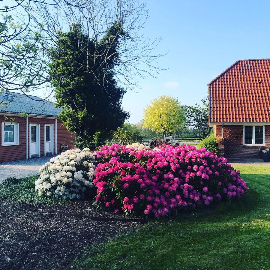 Stald Saga Farm stay *